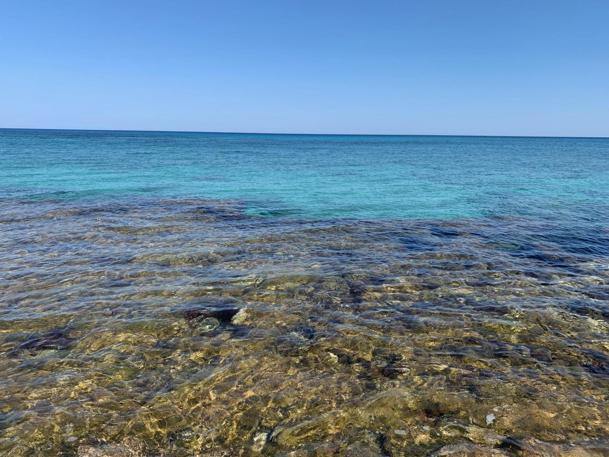 L'Oasi Una Pineta Sul Mare Кустоначи Экстерьер фото