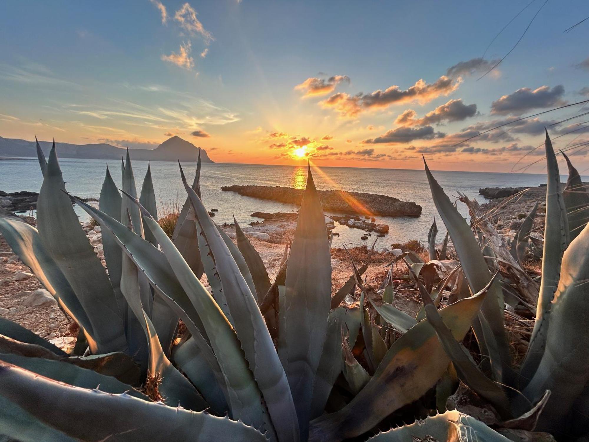 L'Oasi Una Pineta Sul Mare Кустоначи Экстерьер фото