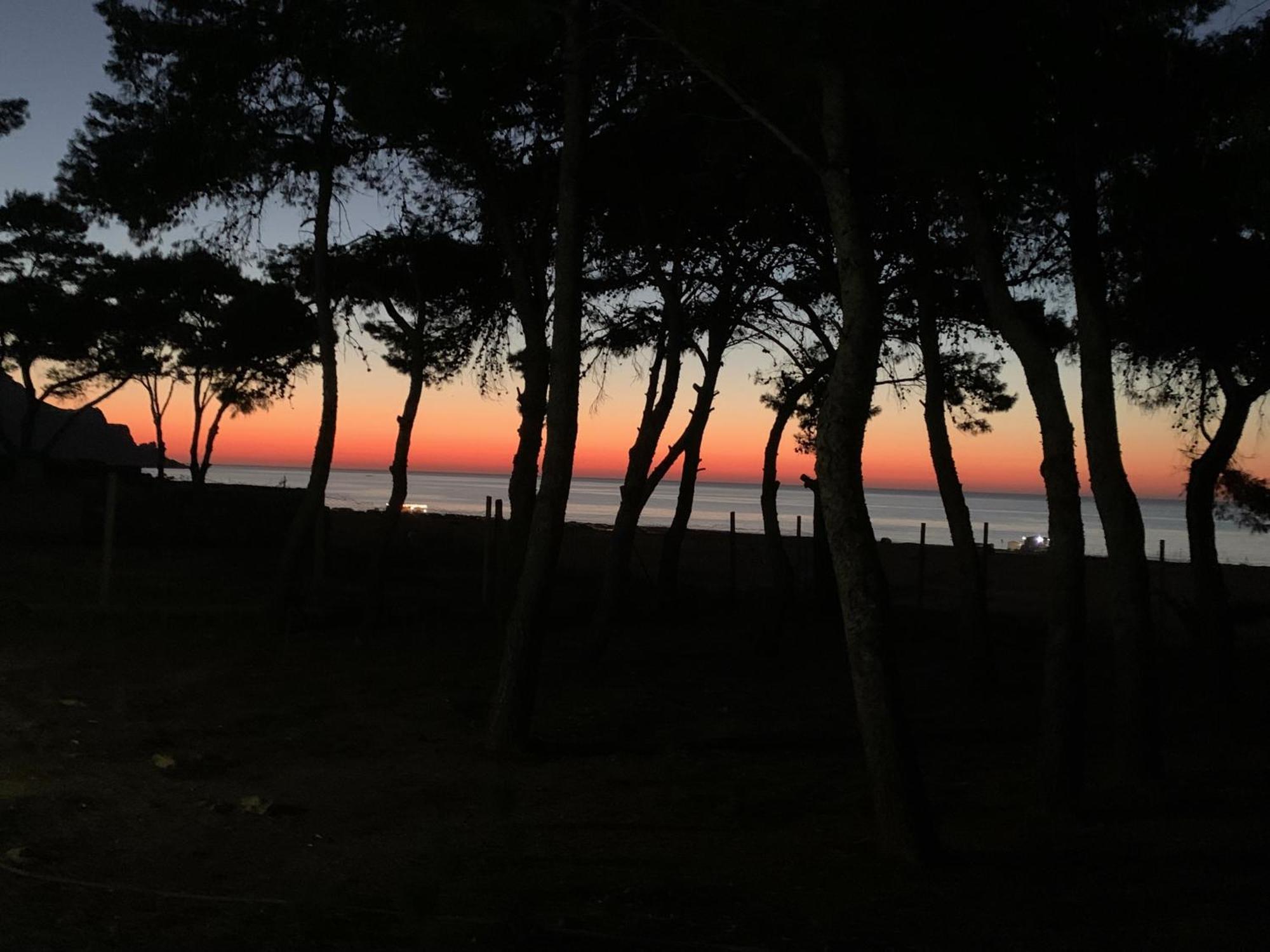L'Oasi Una Pineta Sul Mare Кустоначи Экстерьер фото